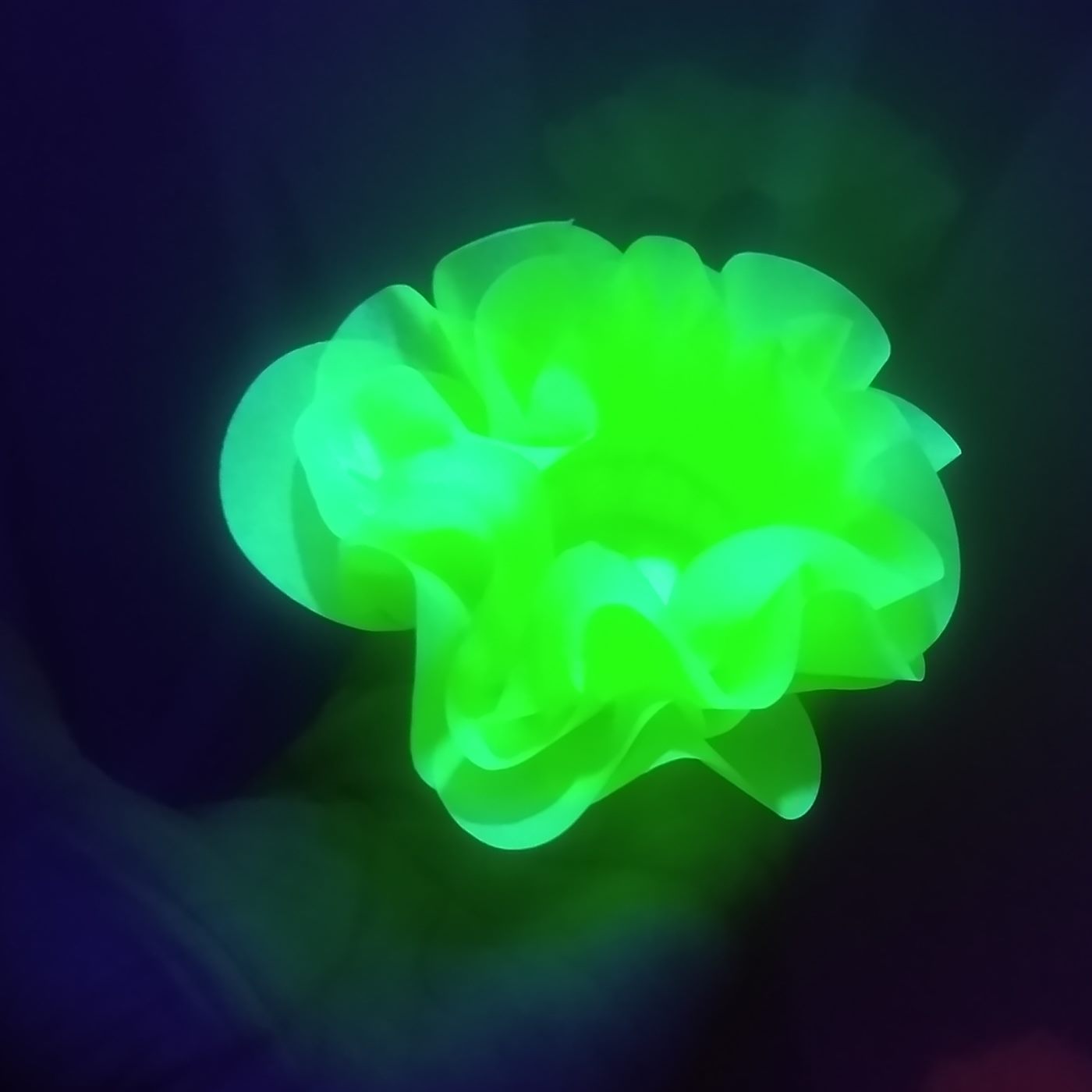 Forminha Camélia 12 neon papel especial