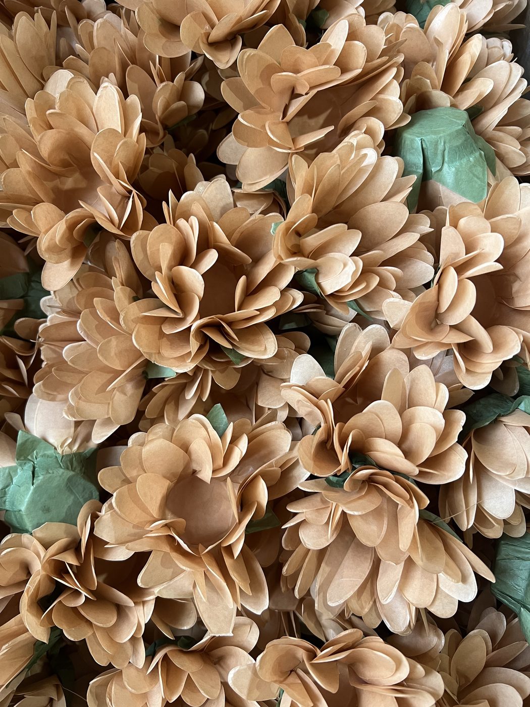 Margarida acabamento com folhinha feito de papel